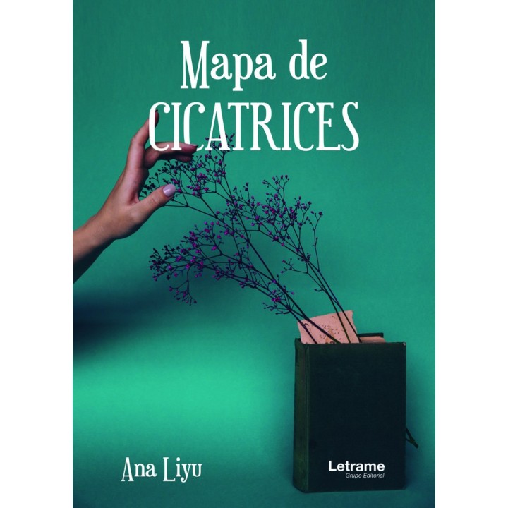 MAPA DE CICATRICES