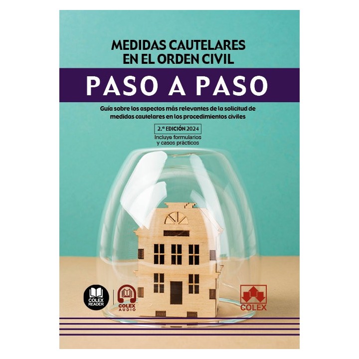 MEDIDAS CAUTELARES EN EL ORDEN CIVIL PASO A PASO 2024