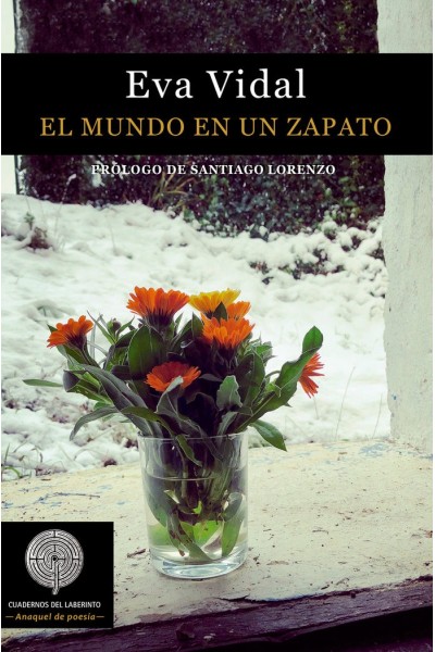 MUNDO EN UN ZAPATO,EL