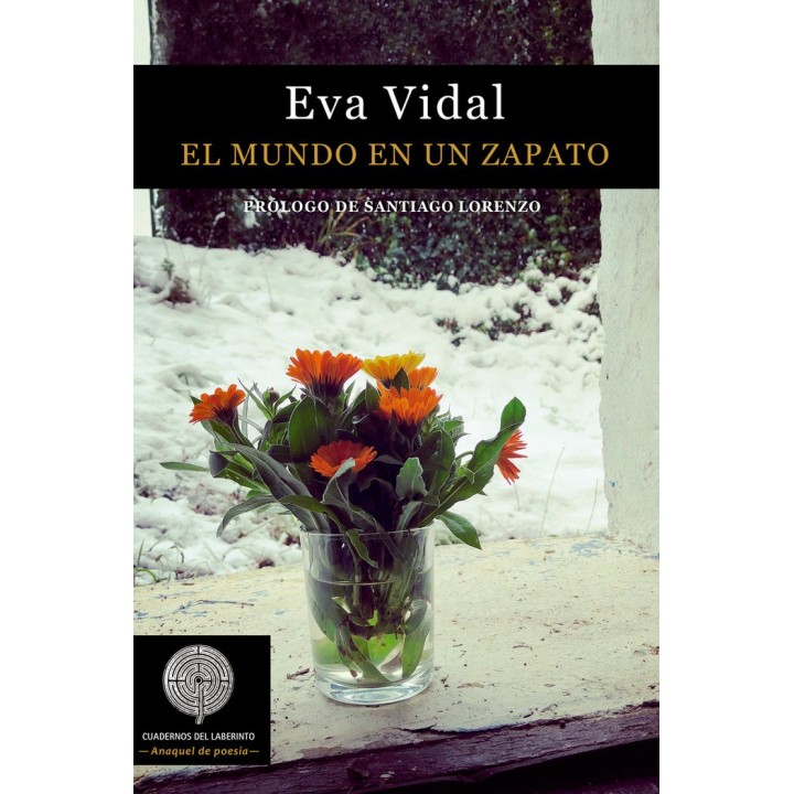 MUNDO EN UN ZAPATO,EL