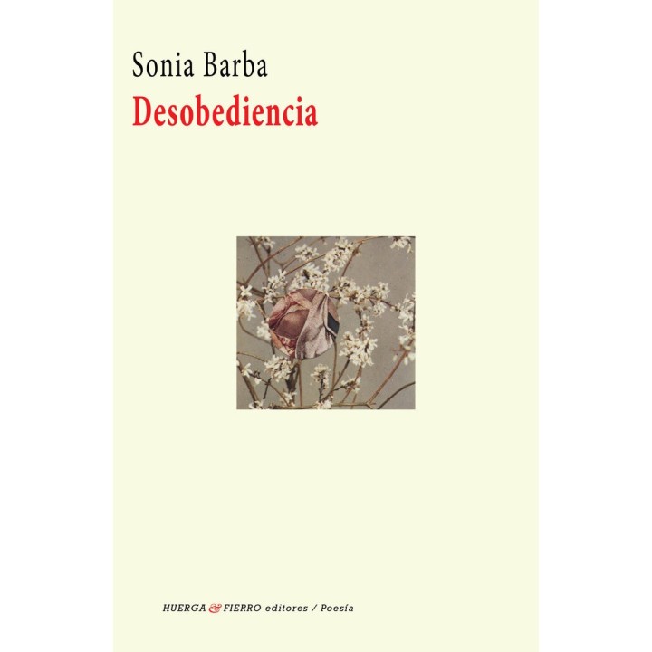 DESOBEDIENCIA