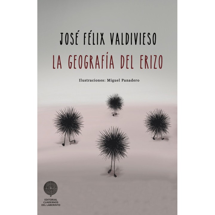 GEOGRAFIA DEL ERIZO,LA