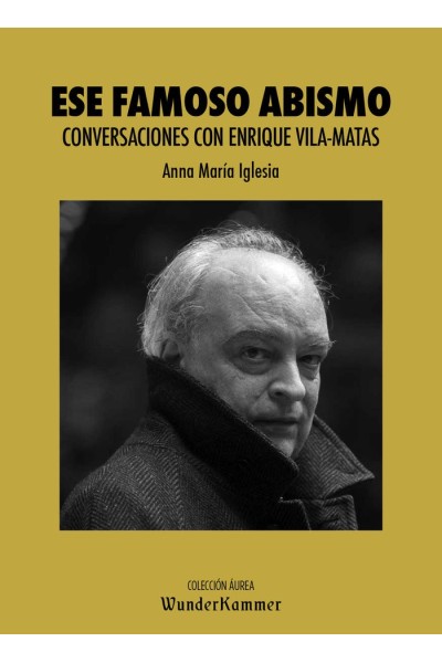 ESE FAMOSO ABISMO