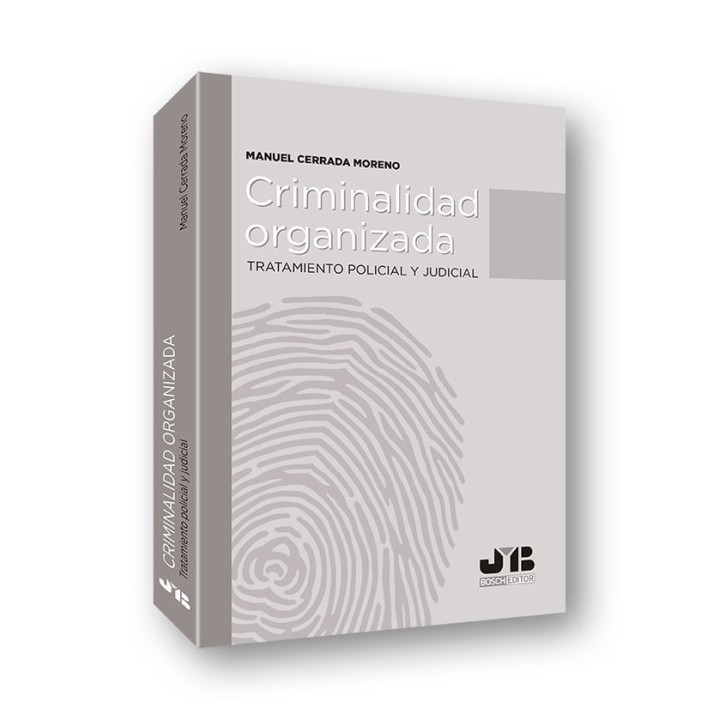 CRIMINALIDAD ORGANIZADA