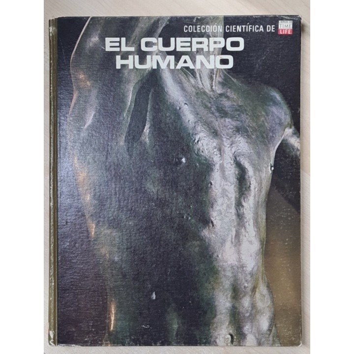 EL CUERPO HUMANO