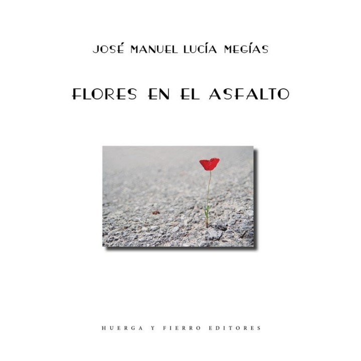 FLORES EN EL ASFALTO