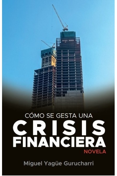 COMO SE GESTA UNA CRISIS FINANCIERA