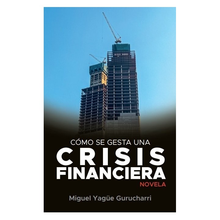 COMO SE GESTA UNA CRISIS FINANCIERA