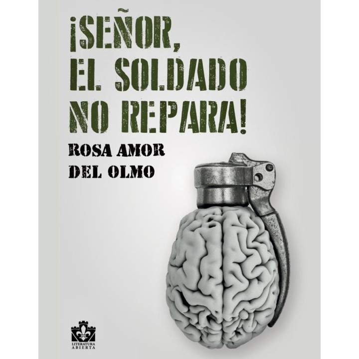 SEÑOR EL SOLDADO NO REPARA
