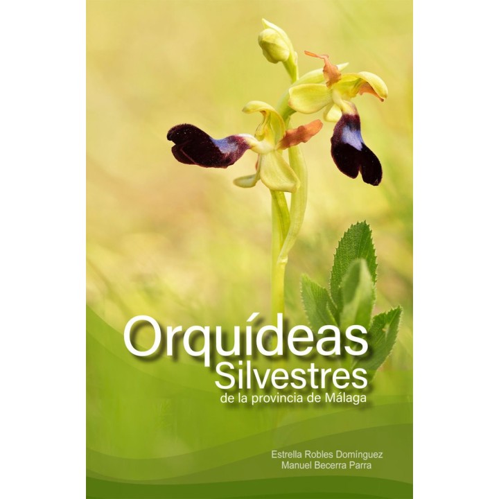 ORQUIDEAS SILVESTRES DE LA PROVINCIA DE MALAGA