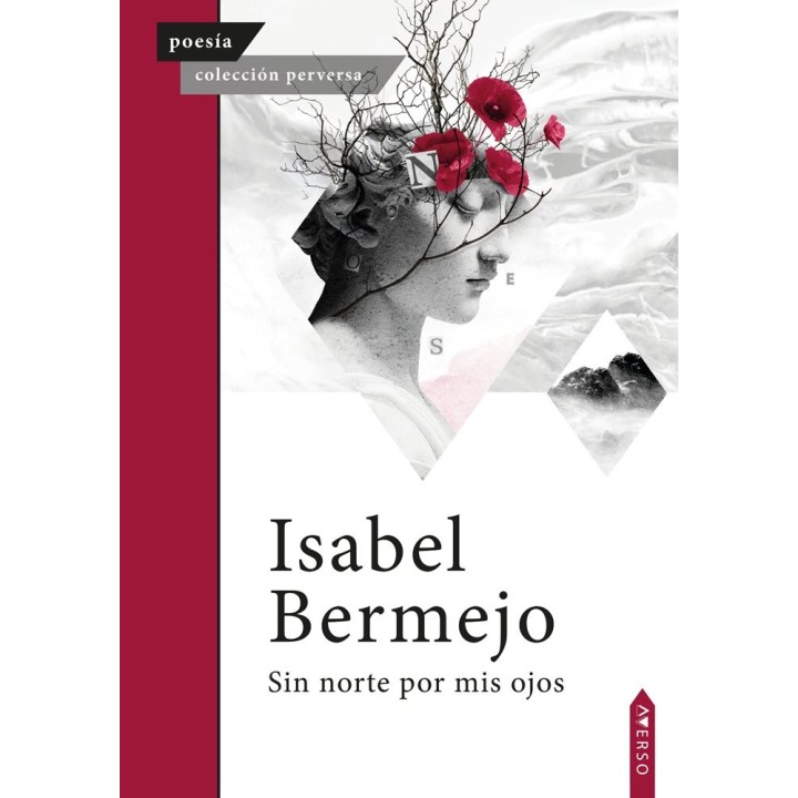 SIN NORTE POR MIS OJOS