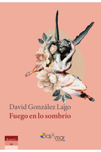 FUEGO EN LO SOMBRIO