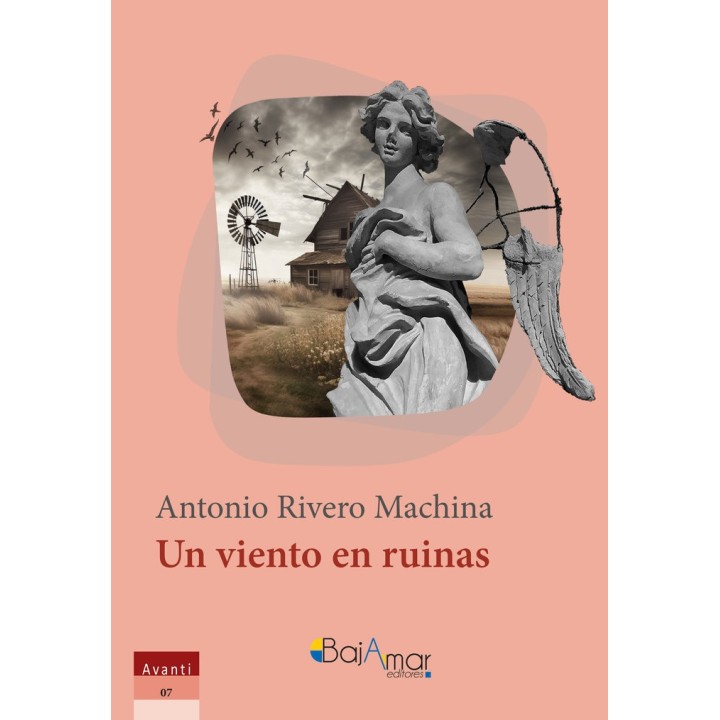 UN VIENTO EN RUINAS