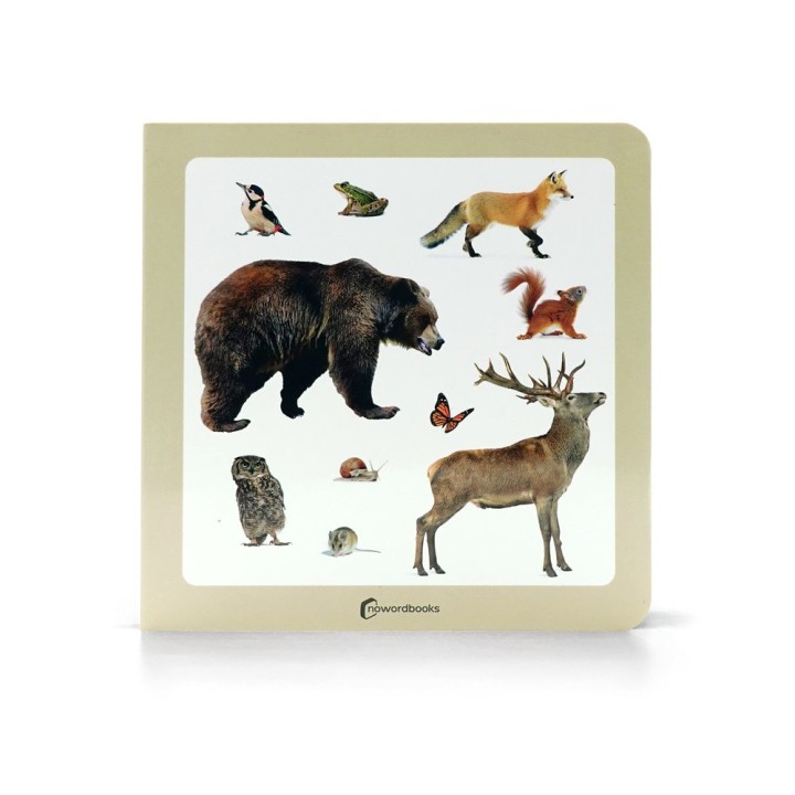 LOS ANIMALES DEL BOSQUE 2