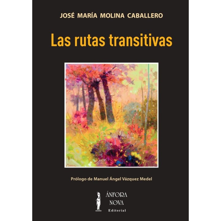 LAS RUTAS TRANSITIVAS
