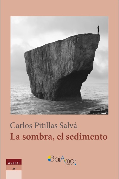 LA SOMBRA EL SEDIMENTO
