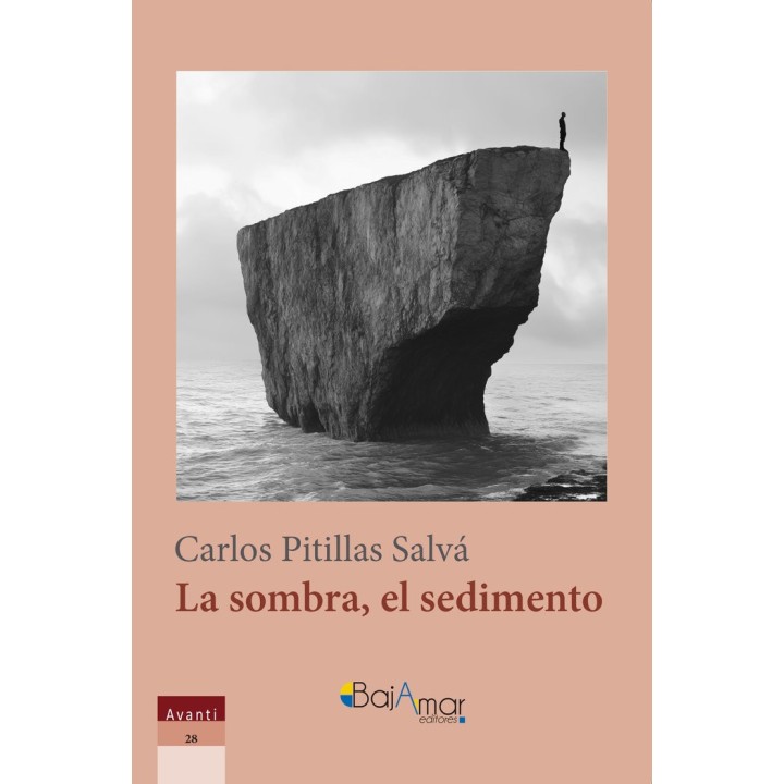 LA SOMBRA EL SEDIMENTO