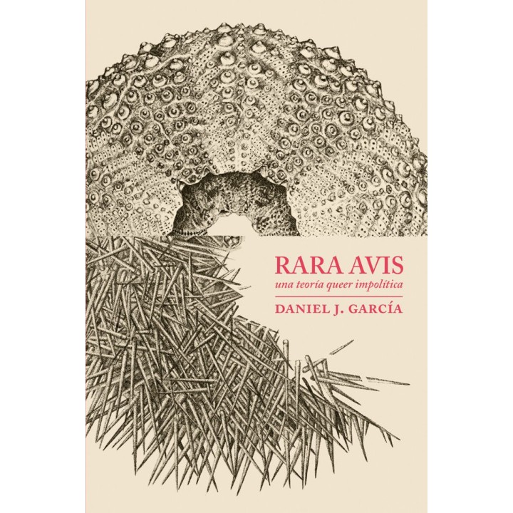RARA AVIS