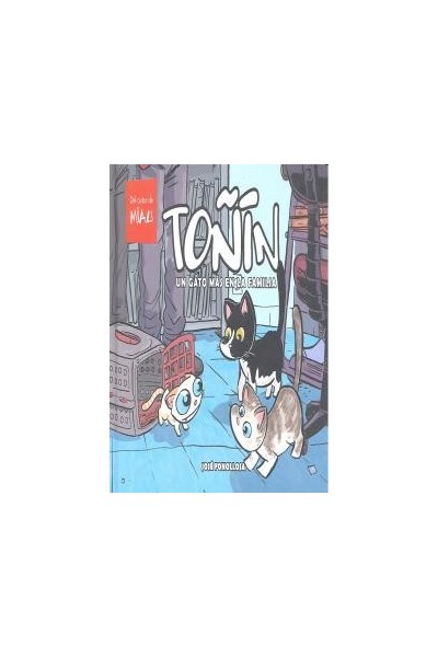 TOÑIN UN GATO MAS EN LA FAMILIA