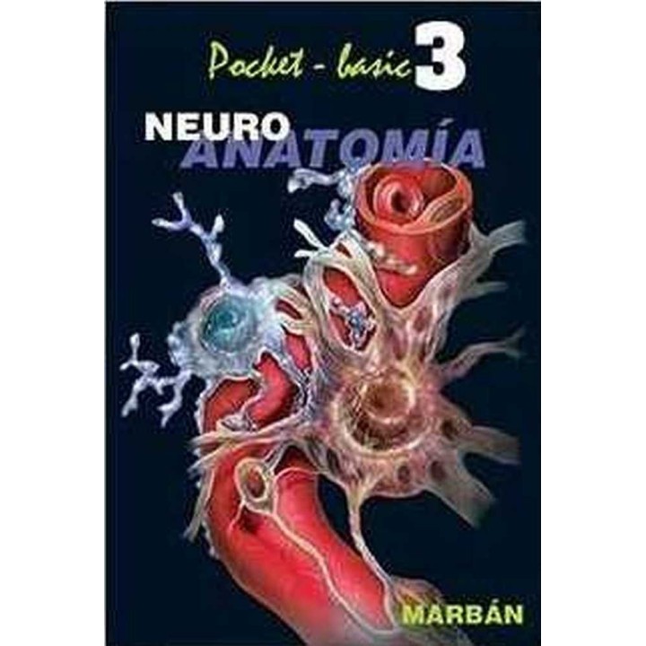 NEURO ANATOMIA III