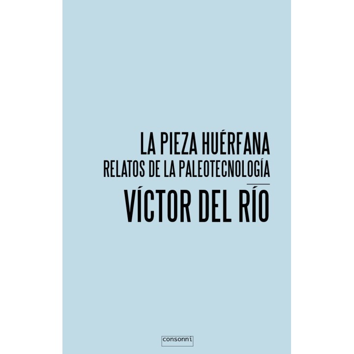PIEZA HUERFANA,LA