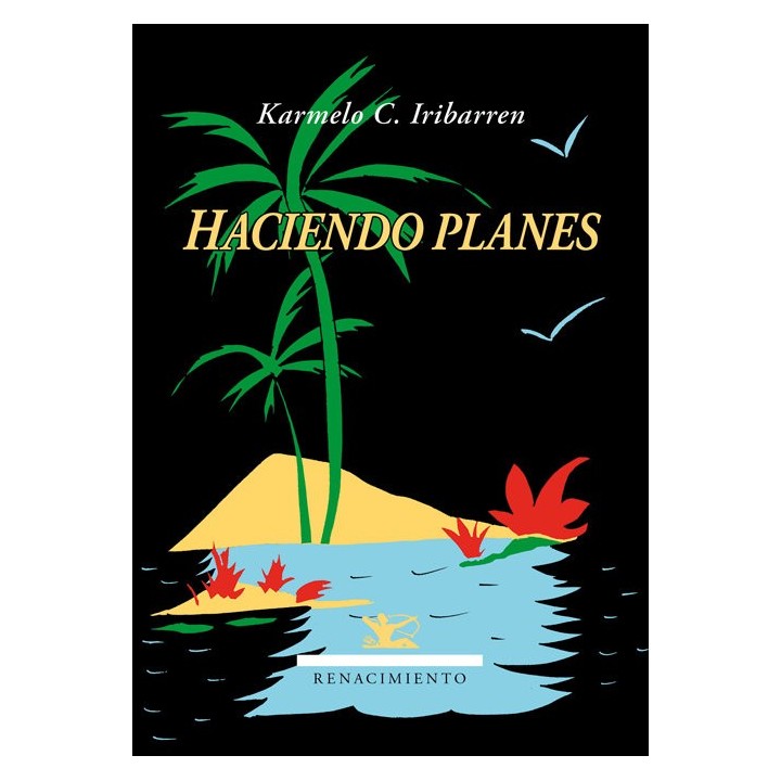 HACIENDO PLANES