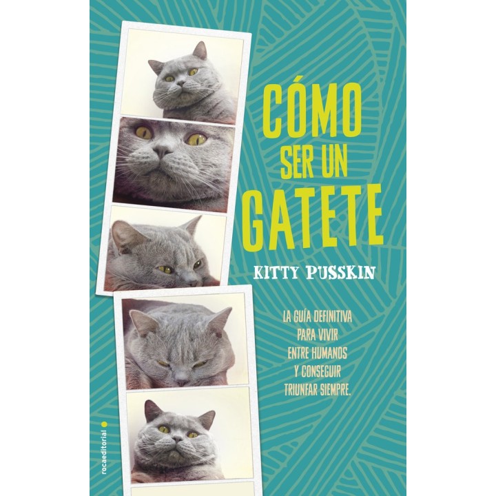 COMO SER UN GATETE