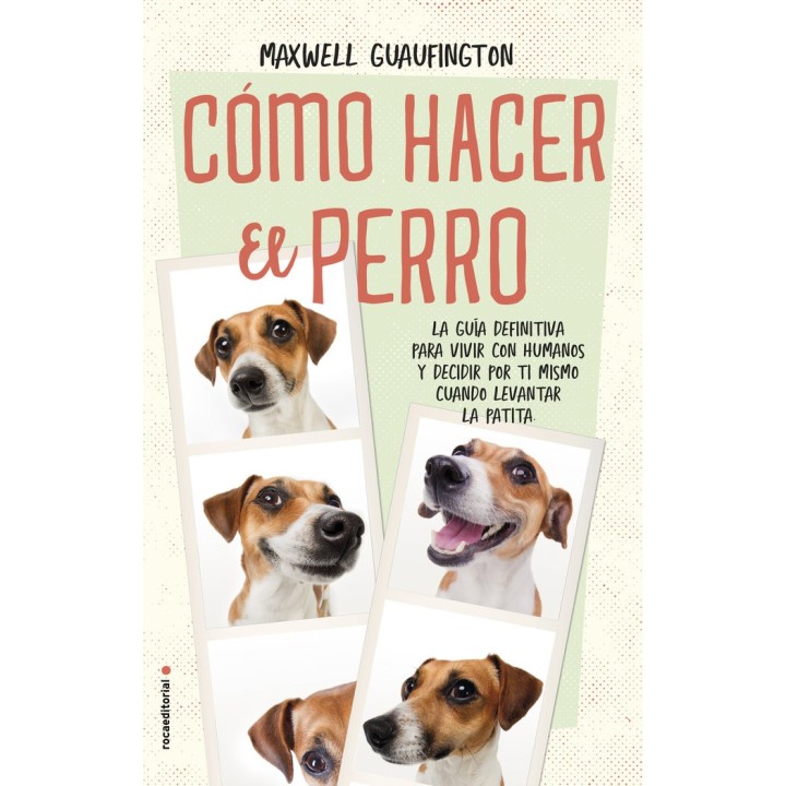 COMO HACER EL PERRO