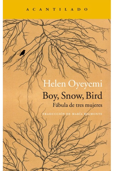 BOY SNOW BIRD