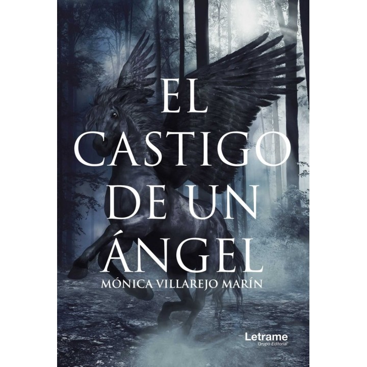 CASTIGO DE UN ANGEL