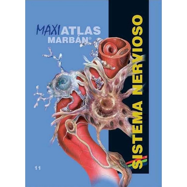 MAXI ATLAS SISTEMA NERVIOSO T11