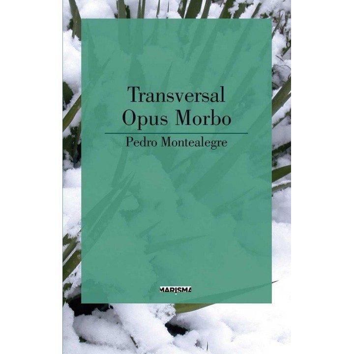 TRANSVERSAL OPUS MORBO