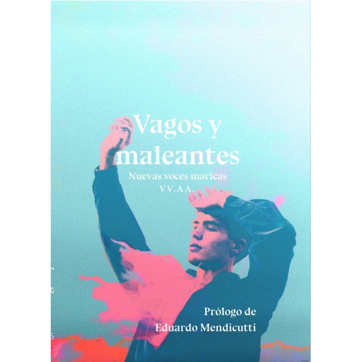 VAGOS Y MALEANTES