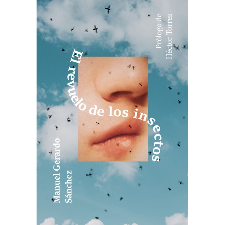 REVUELO DE LOS INSECTOS,EL