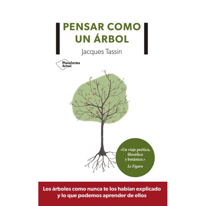 PENSAR COMO UN ARBOL