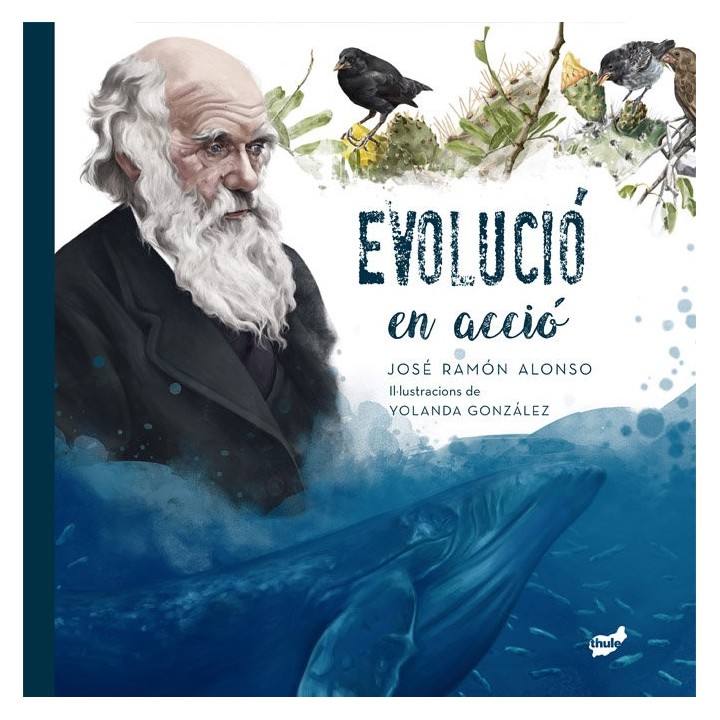 EVOLUCIO EN ACCIO