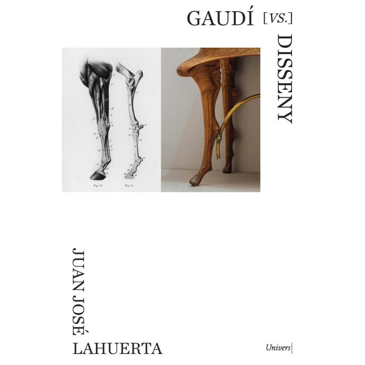 GAUDI VS DISSENY