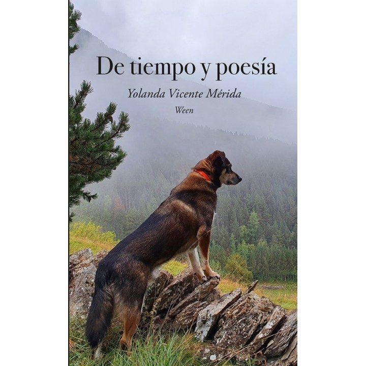 DE TIEMPO Y POESIA