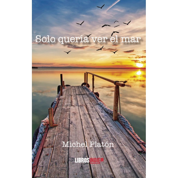 SOLO QUERIA VER EL MAR