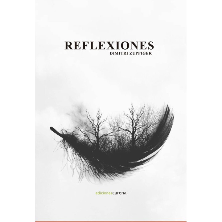 REFLEXIONES
