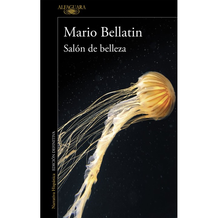 SALON DE BELLEZA (MAPA DE LAS LENGUAS)