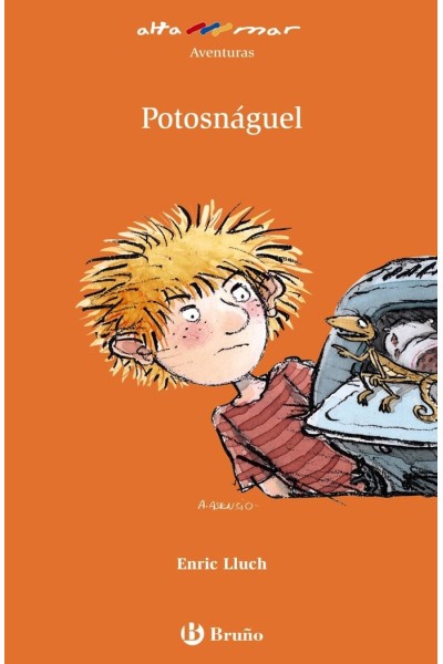 POTOSNAGUEL AM Nº119 NE
