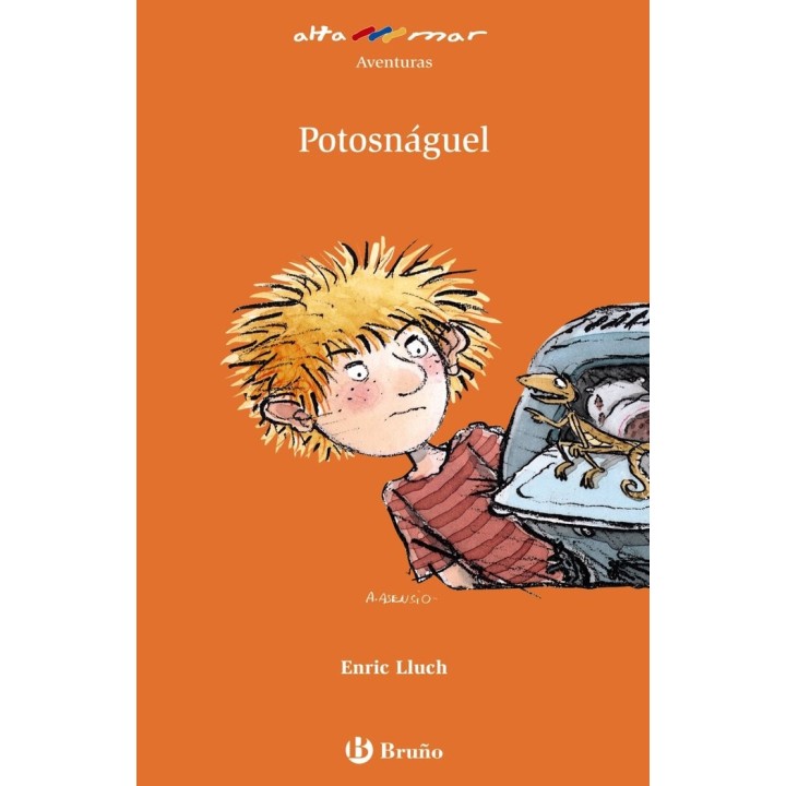 POTOSNAGUEL AM Nº119 NE