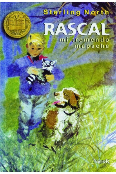 RASCAL MI TREMENDO MAPACHE
