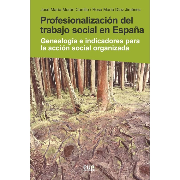 PROFESIONALIZACION DEL TRABAJO SOCIAL EN ESPAÑA