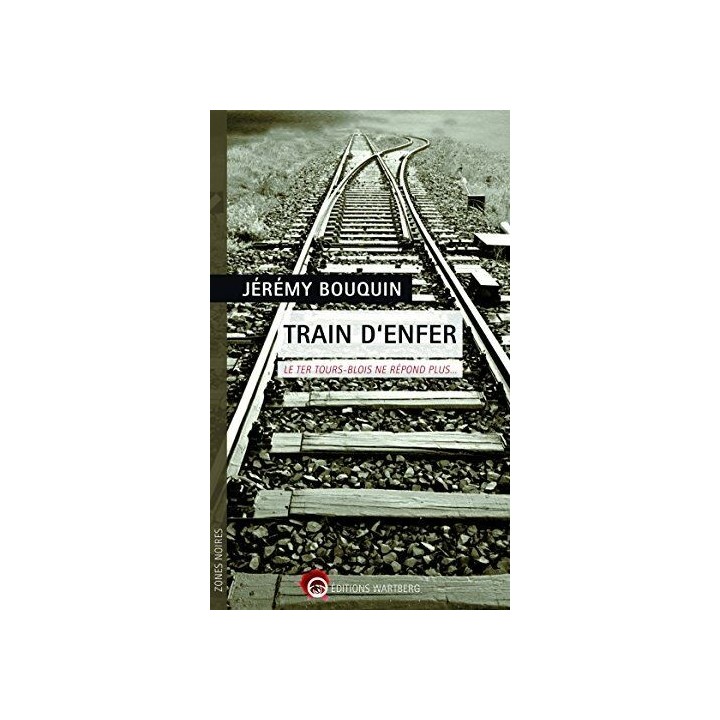 Train d'enfer: Le TER Tours-Blois ne répond plus.