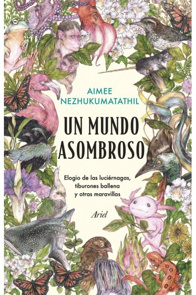 UN MUNDO ASOMBROSO