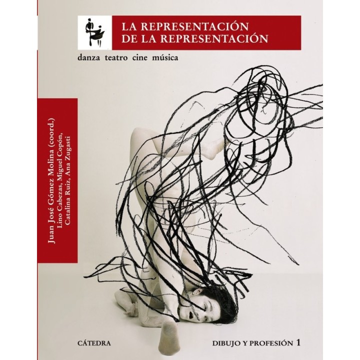 REPRESENTACION DE LA REPRESENTACION,LA
