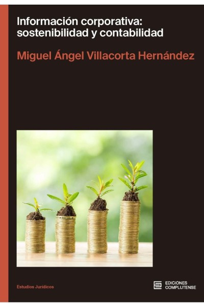 INFORMACION CORPORATIVA SOSTENIBILIDAD Y CONTABILIDAD