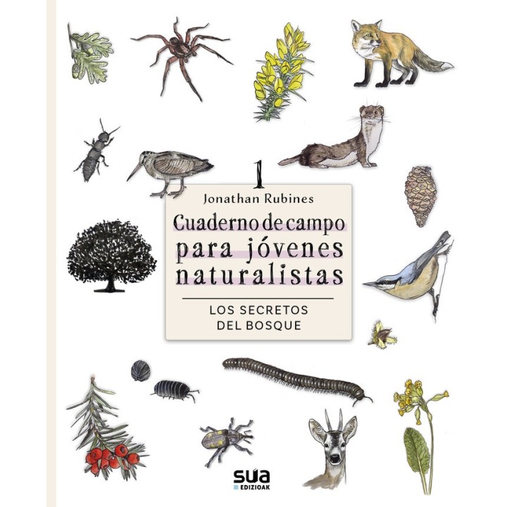 LOS SECRETOS DEL BOSQUE